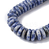Natural Blue Spot Jasper Beads Strands G-F743-06L-4