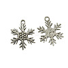 Tibetan Style Alloy Pendants LS-TIBEP-3264-AS-RS-1