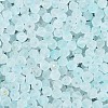 Frosted Glass Seed Beads SEED-N012-01C-3