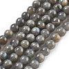 Natural Labradorite Beads Strands LS-G-S333-6mm-035-01-1