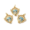 Rack Plating Brass Micro Pave Cubic Zirconia Pendants KK-D074-16G-2