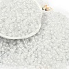 6/0 Luminous Glass Seed Beads SEED-NH0001-01A-2