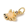 Brass Micro Pave Colorful Cubic Zirconia Glass Pendants X-KK-R162-026A-G-2