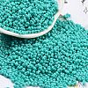 Baking Paint Glass Seed Beads X1-SEED-A033-05O-1