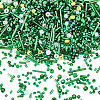 180G Glass Seed Beads SEED-SC0001-58-1