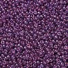 MIYUKI Round Rocailles Beads LS-X-SEED-G007-RR0312-2