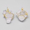 Rough Raw Natural Quartz Crystal Pendants G-Q481-105G-2