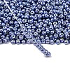 TOHO 6/0 Round Beads X-SEED-TR06-PF0567-2