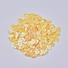 Ornament Accessories Plastic Paillette/Sequins Beads PVC-F002-C04-1