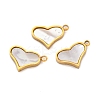 Ion Plating(IP) 304 Stainless Steel Pave Natural Shell Charms STAS-Z100-01G-03-1