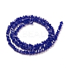 Glass Beads Strands GLAA-L031-01-C16-3
