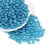 Transparent Glass Seed Beads SEED-N007-33B-09-1