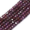 Natural Garnet Beads Strands G-P457-B01-22-1