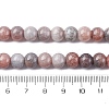 Ombre Effect Dyed Glass Beads Strands X-GLAA-T031-01O-14-5