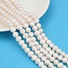 Natural Cultured Freshwater Pearl Beads Strands PEAR-I007-07Z-07C-1