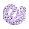 Electroplate Glass Beads Strands X-EGLA-N012-05B-2