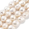 Natural Cultured Freshwater Pearl Beads Strands PEAR-P062-31C-X-2