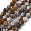 Natural Gobi Agate Beads Strands G-Z119-A36-02-3