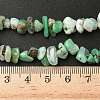Natural Chrysoprase Beads Strands G-G0004-D01-A-6
