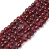 Natural Garnet Beads Strands G-F770-B02-01-1