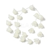 Natural Trochid Shell/Trochus Shell Bead Caps BSHE-B005-03-1