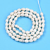 Natural Cultured Freshwater Pearl Beads Strands PEAR-N012-03O-3