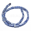 Natural Blue Spot Jasper Beads Strands G-F631-E04-2