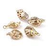 Natural Spiral Shell Pendants BSHE-B003-01G-1