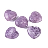 Natural Lepidolite Healing Stones G-G020-01Y-1