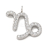 304 Stainless Steel Micro Pave Cubic Zirconia Charms STAS-Z107-09P-12-1