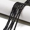 Natural Black Tourmaline Beads Strands G-H042-B21-01-2