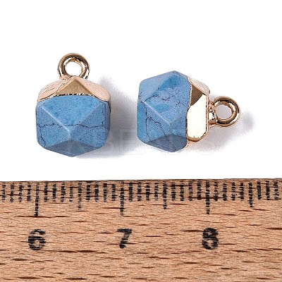 Dyed Synthetic Turquoise Pendants G-N359-18G-20-1