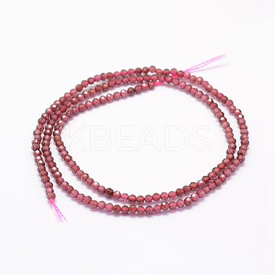 Natural Garnet Beads Strands LS-G-F460-59-1