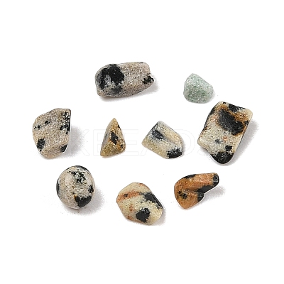 Pandahall Natural Dalmatian Jasper Chip Beads G-M055-04-1