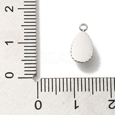 Natural Labradorite Teardrop Charms STAS-B074-04P-03-1