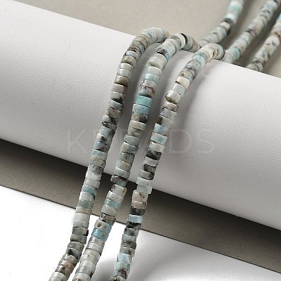 Natural Larimar Beads Strands G-Q024-B03-01-1