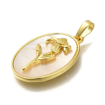 Brass Pave Shell Birth Flower Pendants FIND-I040-04C-1