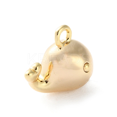 Brass Charms KK-S513-03A-G-1