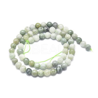 Natural Myanmar Jade/Burmese Jade Beads Strands G-D0001-08-6mm-1