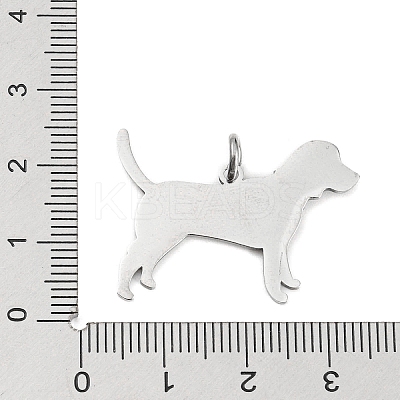 Non-Tarnish 304 Stainless Steel Pendants STAS-E205-09P-1
