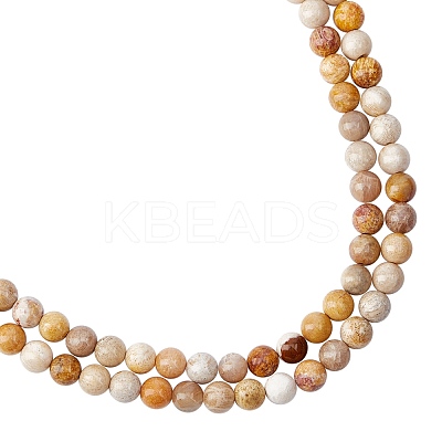 Natural Fossil Coral Beads Strands G-AR0003-18-1