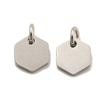 Non-Tarnish 304 Stainless Steel Charms STAS-P356-01P-1