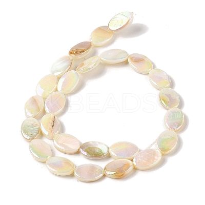 Natural Freshwater Shell Beads Strands BSHE-H018-06-1