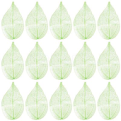 100Pcs Dried Flower Leaf Craft Supplies AJEW-CP0009-41A-1