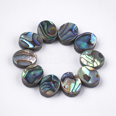Abalone Shell/Paua Shell Beads LS-X-SSHEL-T008-04-1