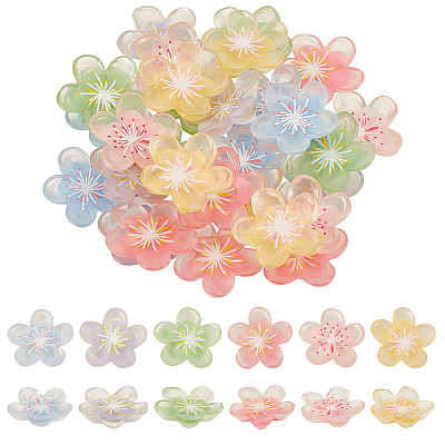 60Pcs 6 Colors Translucent Resin Decoden Cabochons RESI-GA0001-31-1