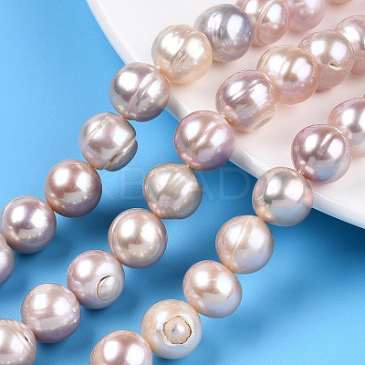 Natural Cultured Freshwater Pearl Beads Strands PEAR-N013-10B-1