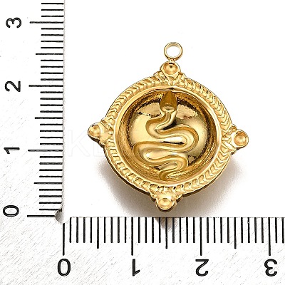 304 Stainless Steel Pendants STAS-M116-06G-1