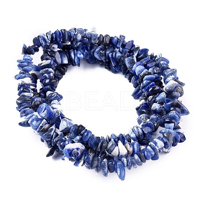 Natural Sodalite Chips Beads Strands F024-1