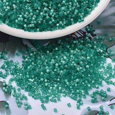 MIYUKI Delica Beads X-SEED-J020-DB1813-1